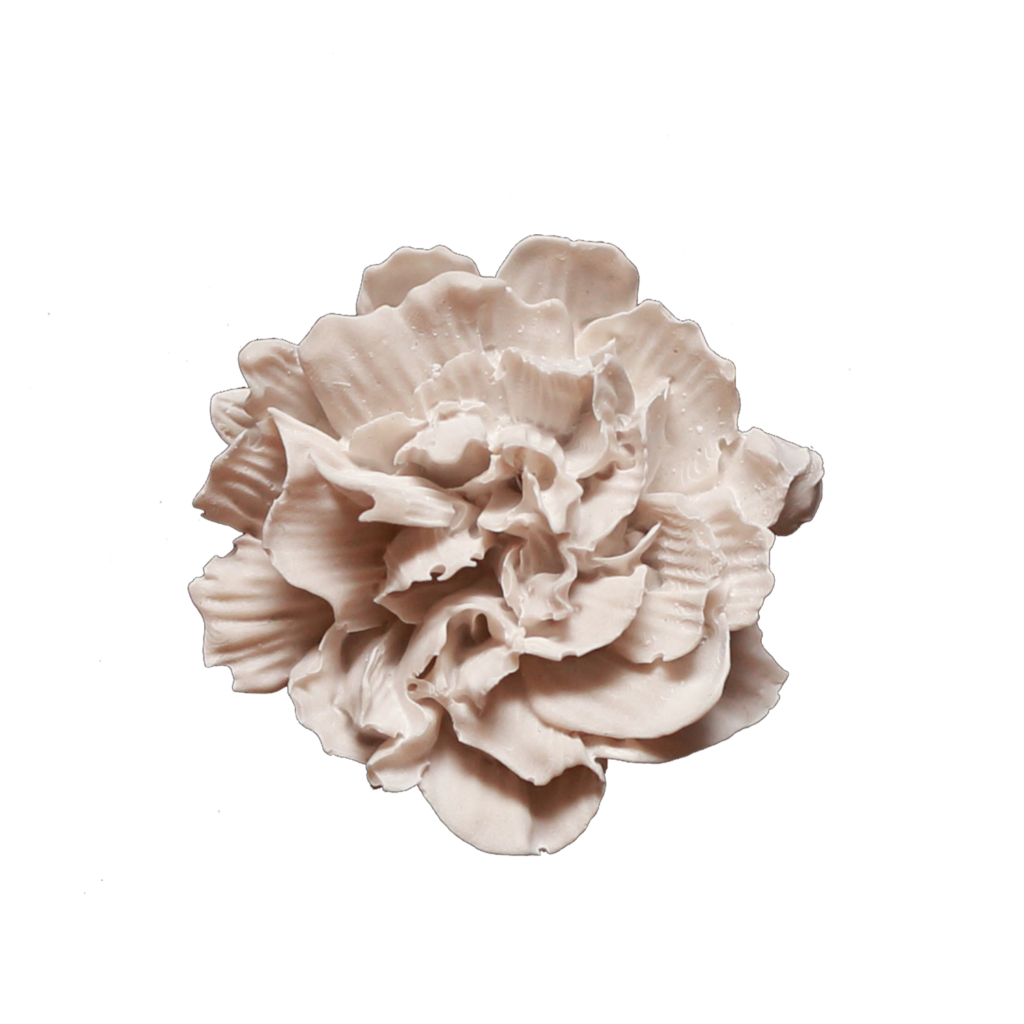 Yeso Perfumado Carnation