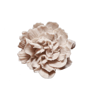 Yeso Perfumado Carnation