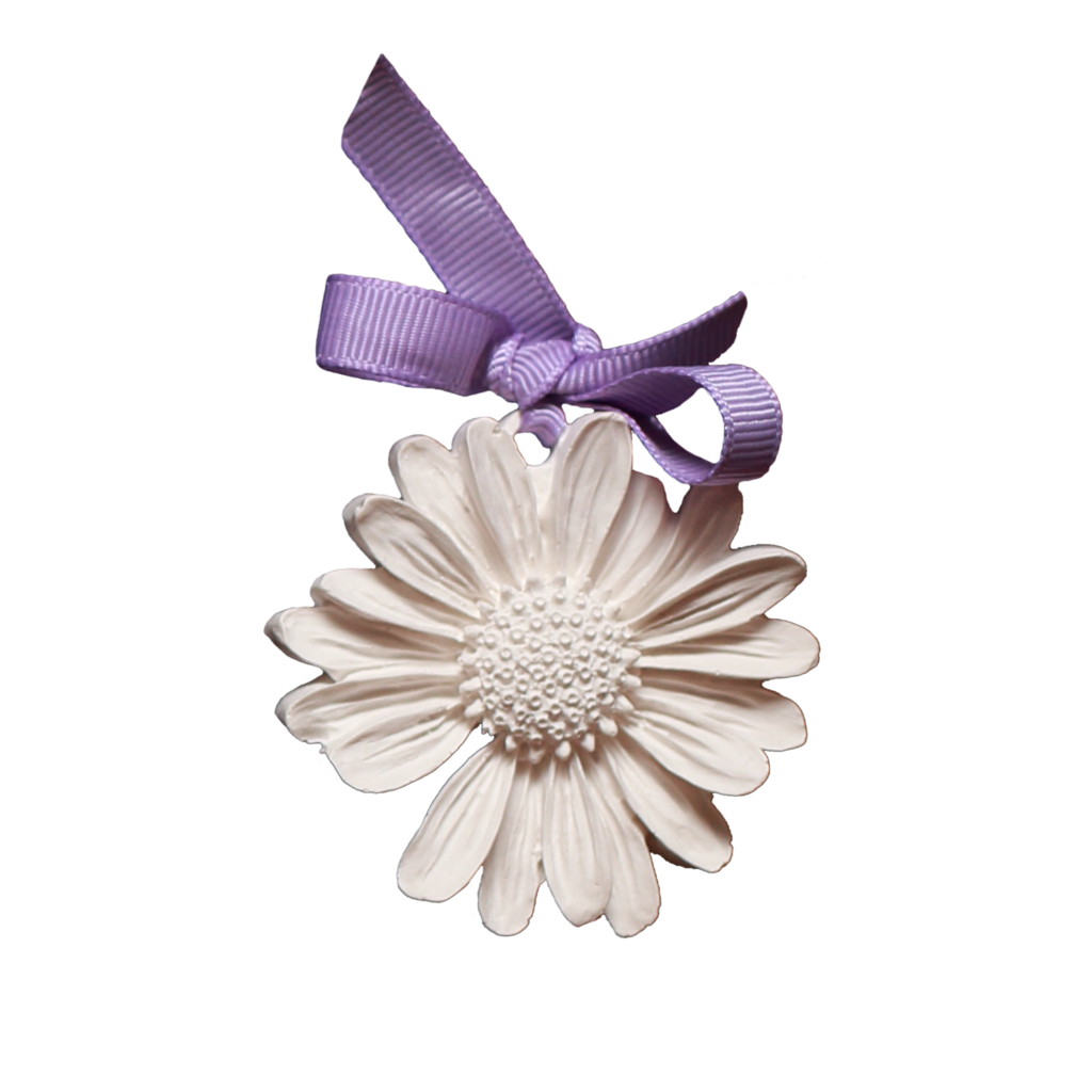 Yeso Perfumado Margarita