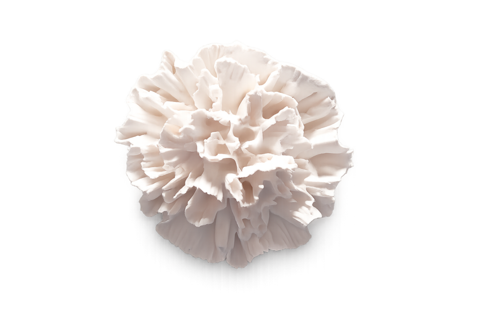 Yeso Perfumado Lisianthus