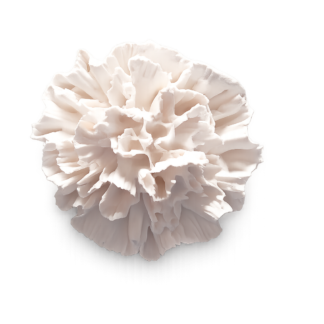 Yeso Perfumado Lisianthus