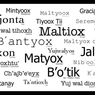 Postal Gracias - Maltiox